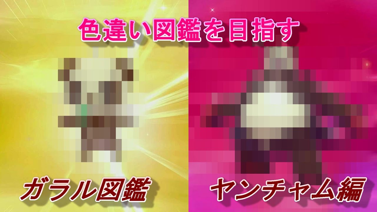 【色違い図鑑】ガラル図鑑 ヤンチャム編【ポケモン剣盾】
