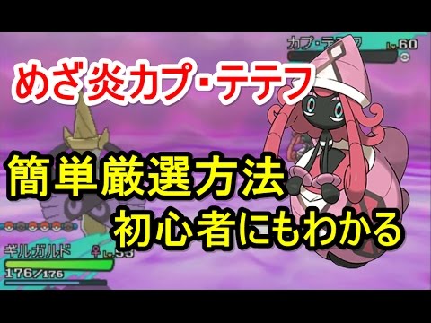 【ポケモン】カプ・テテフのめざ炎の簡単厳選方法まとめ【サン・ムーン】【Pokemon sun and moon】