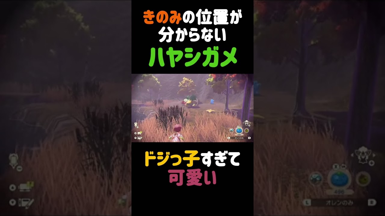 【ポケモン】きのみの位置が分からないハヤシガメがドジっ子すぎてかわいいww【Pokémon LEGENDS アルセウス】#shorts