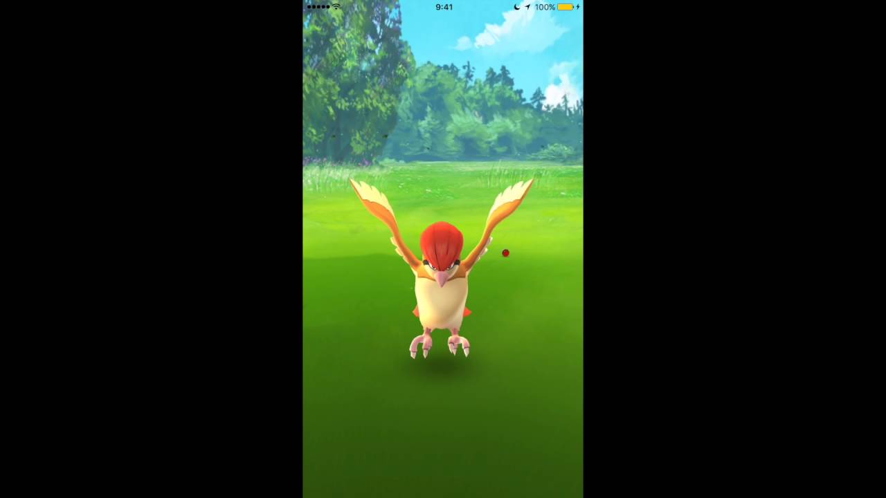 【Pokemon GO】ピジョン捕まえてみた