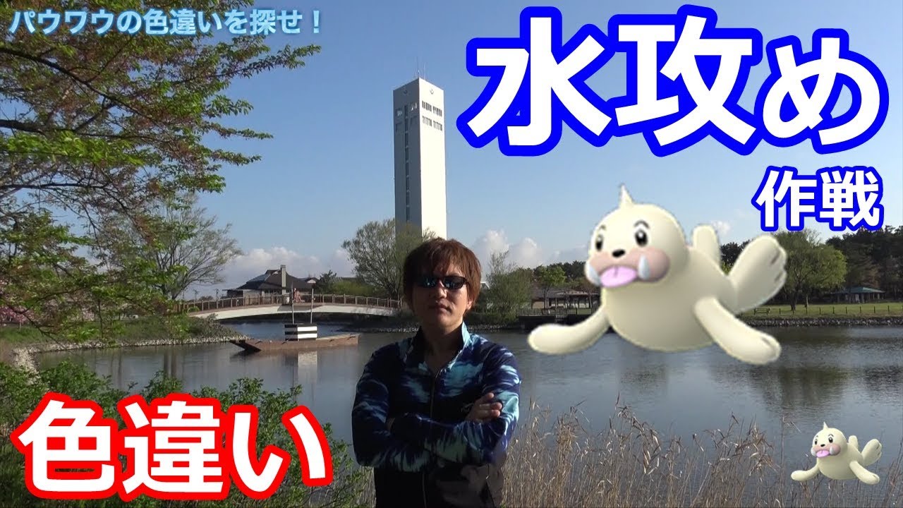 パウワウ色違いを狙う！水ソースを攻めろ！【ポケモンGO】