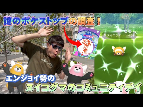 No.1エンジョイ勢のヌイコグマのコミュニティデイ！謎のポケストップの調査も！色違いや神個体は！？新実装コミュデイ【ポケモンGO】
