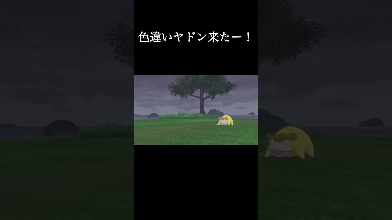 色違いのヤドンが現れた#shorts＃色違い＃ポケモン剣盾