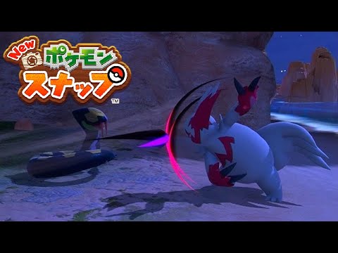 【Newポケモンスナップ】ザングース VS ハブネーク 宿敵との出会い、座して待つ、スナバァ もっともっと大きく、ケイコウオ 羽ばたくように【ポケスナ/Switch】