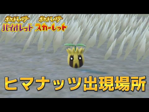 【ポケモンSV】ヒマナッツ出現場所【攻略】