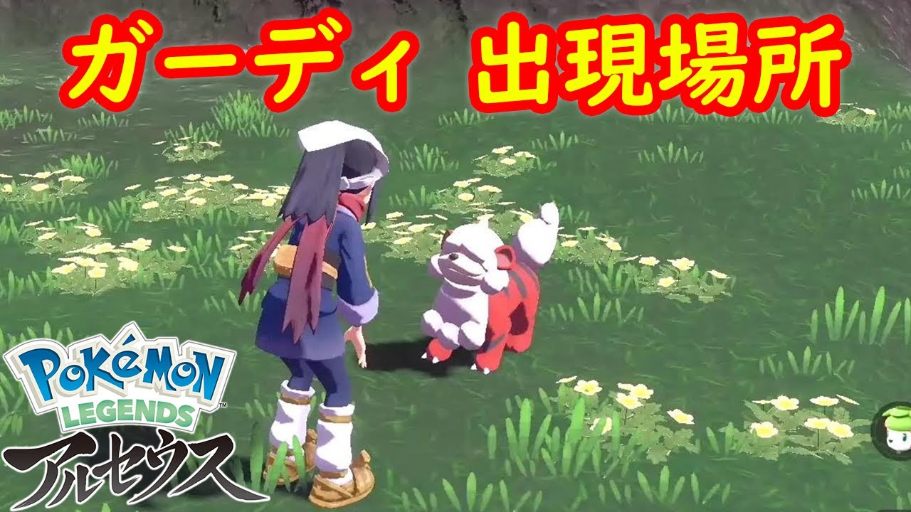 【ヒスイ ガーディ】出現場所 入手方法 攻略  【Pokémon LEGENDS アルセウス ポケモン レジェンズ アルセウス】