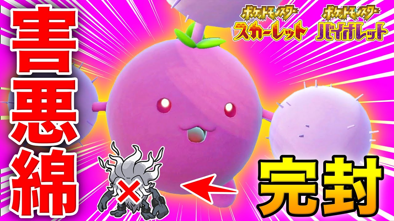 基本サポート&物理ポケモンを餌にする『害悪ワタッコ』で対戦してみたw【ポケモンSV】