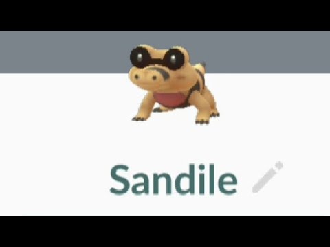 POKÉMON GO SANDILE メグロコ Meguroco | 깜눈크 | Mascaïman | 黑眼鱷 / 黑眼鳄 | Sendajl |  Ganovil | เมะกุโรโกะ