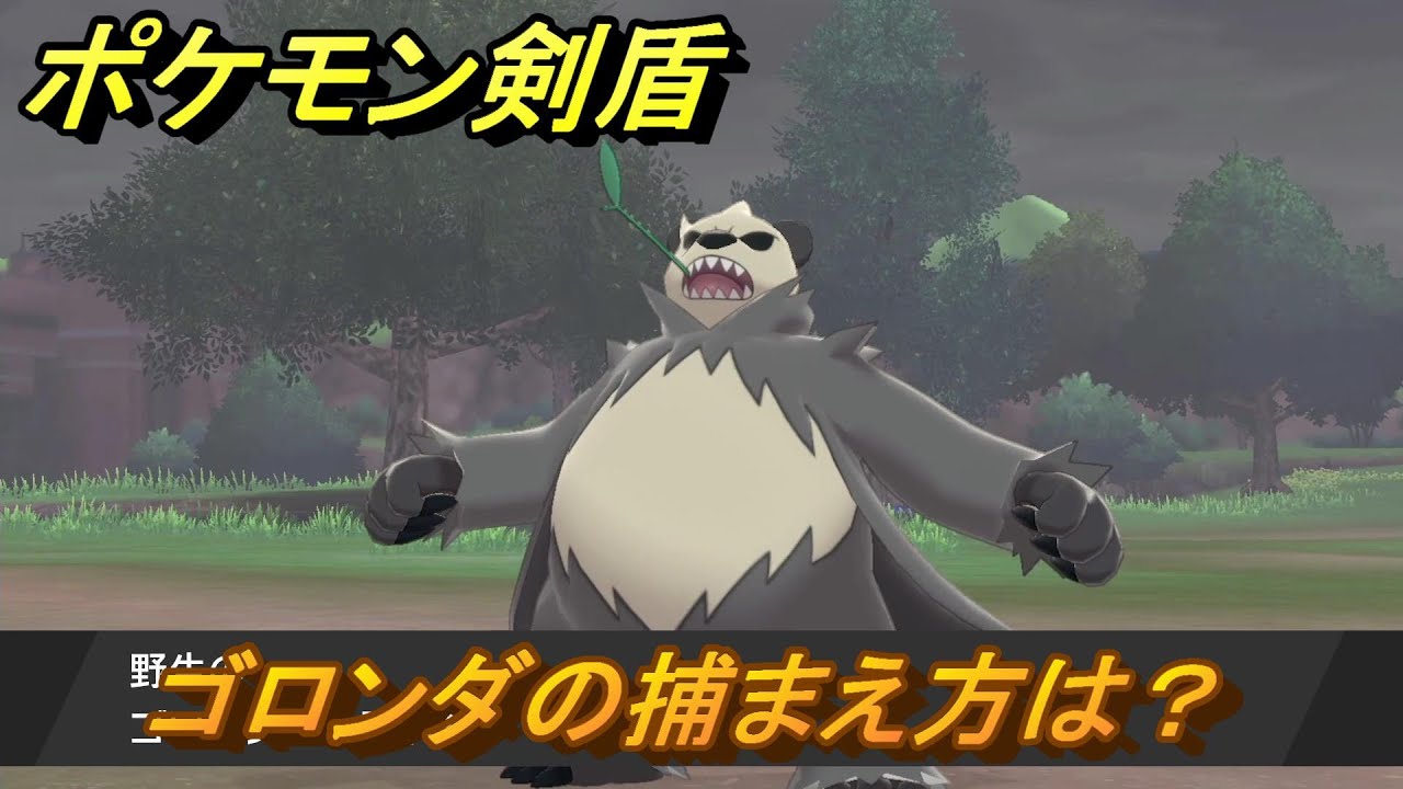 ポケモン剣盾　ゴロンダを捕まえる方法！オススメの場所は？天気は？ポケモン図鑑コンプへの道！　最新版【ポケモンソード・シールド】