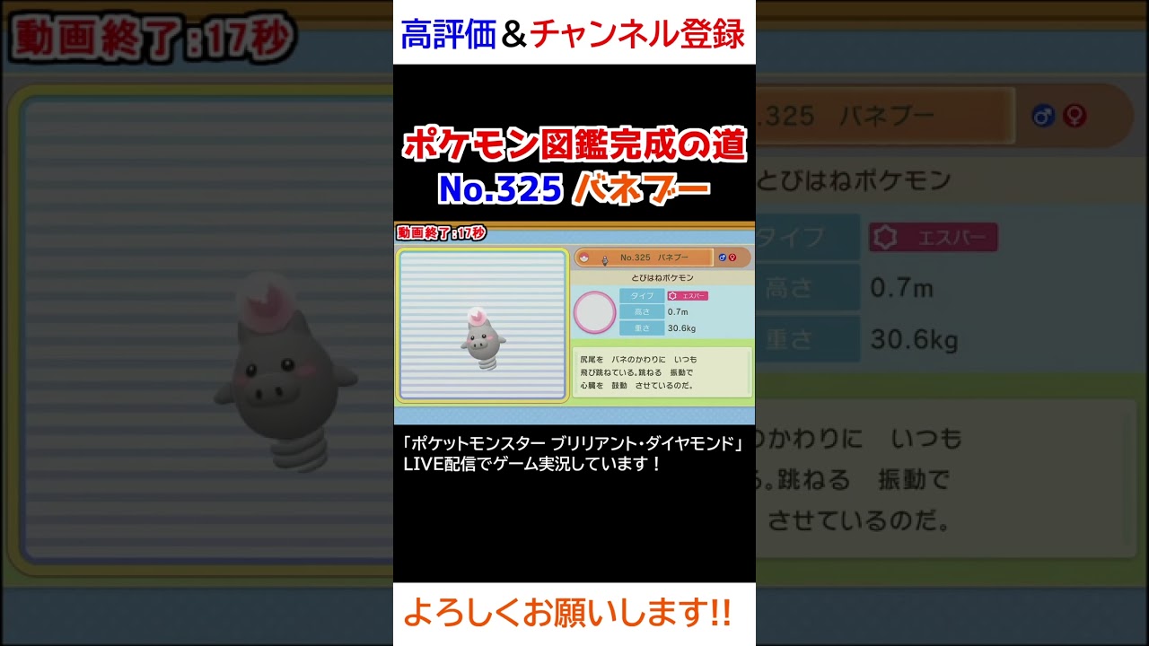 No.325 バネブー図鑑登録完了！【ポケモンBDSP】