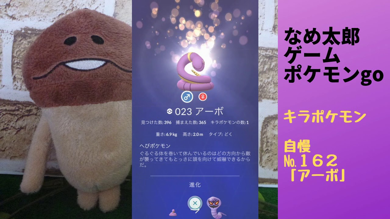 なめ太郎のキラポケモン自慢コーナーナンバー１６２、「アーボ」【ポケモンgo】