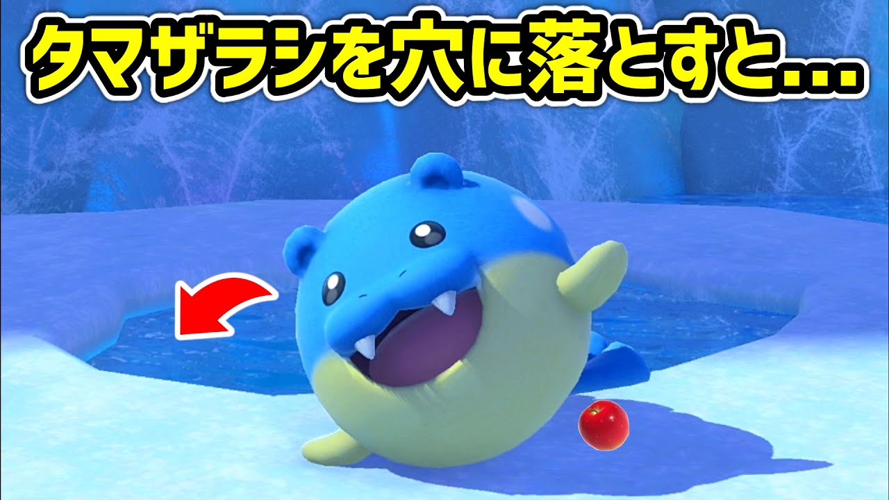 Newポケモンスナップの可愛い姿が見れるリクエスト集【8選】