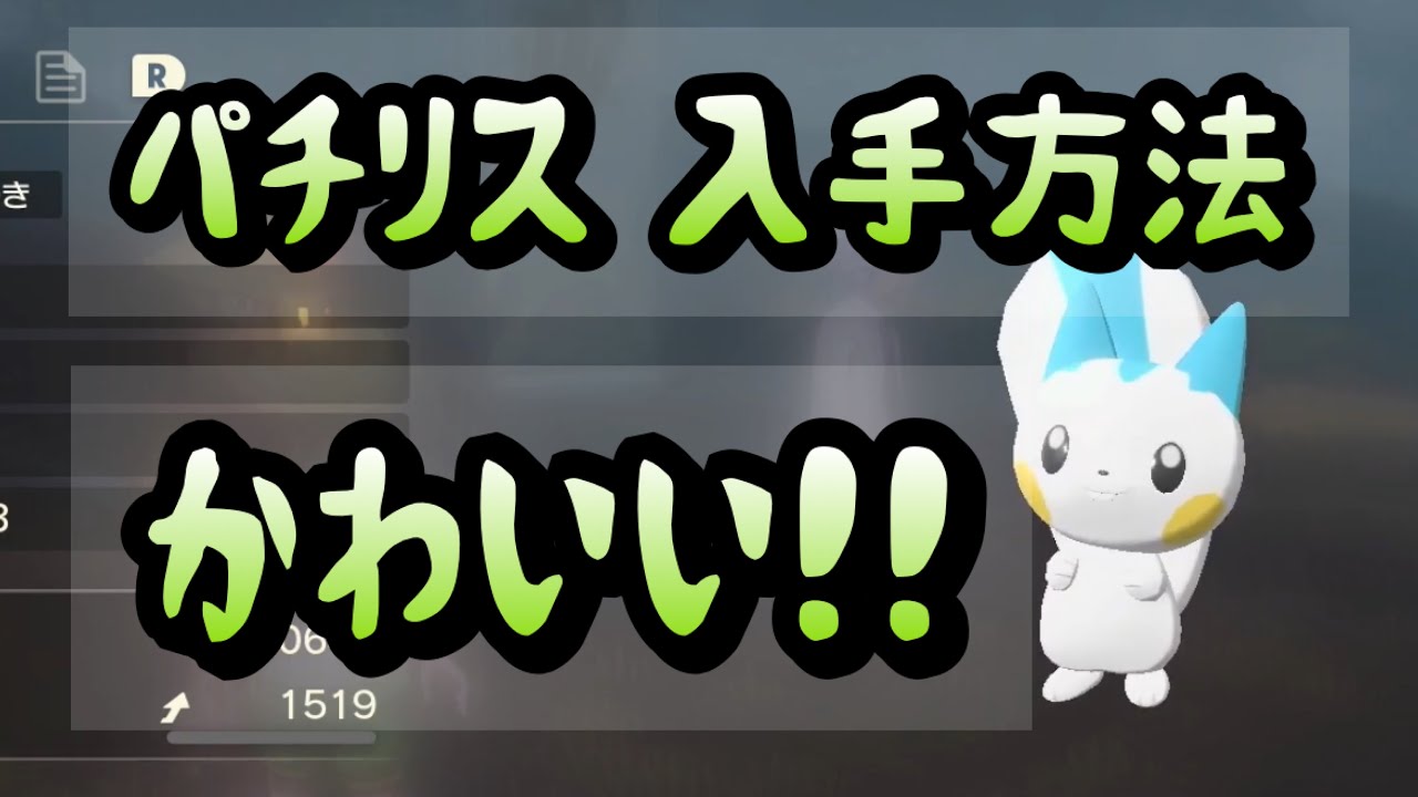 【Pokémon LEGENDS アルセウス】パチリス入手方法　攻略動画