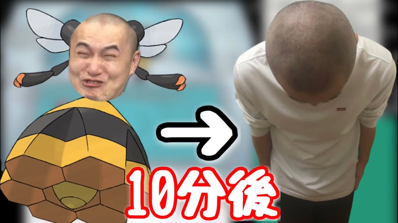 ビークインの鳴き真似が負けフラグになり、敗北する加藤純一【2021/07/27】