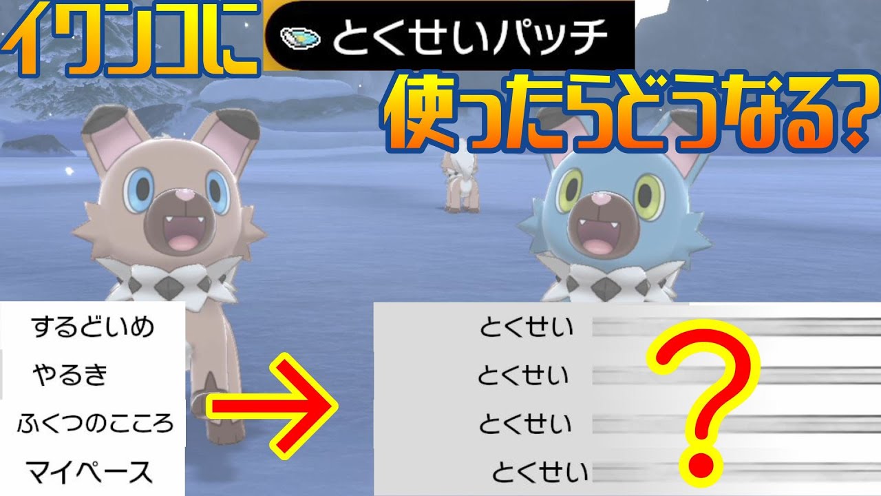 【検証】イワンコにとくせいパッチを使ったら、マイペースのイワンコになる？【ポケモン剣盾】