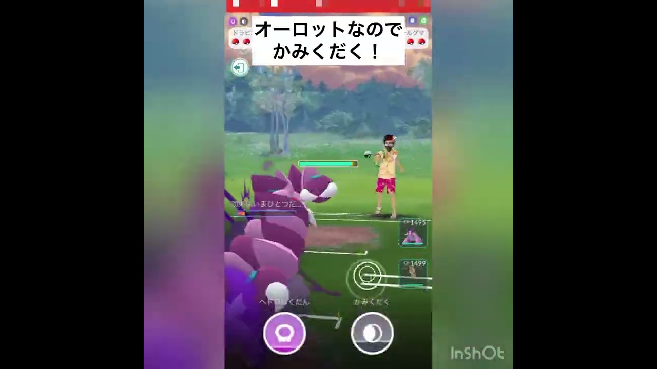 初手ラグラージvol.1