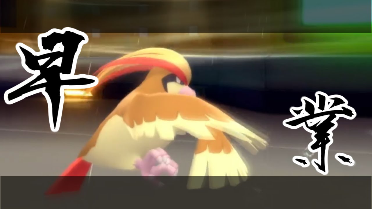 【ポケモンBDSP】初代序盤鳥ポケモン、ピジョットを救う回【ランダムマッチ】