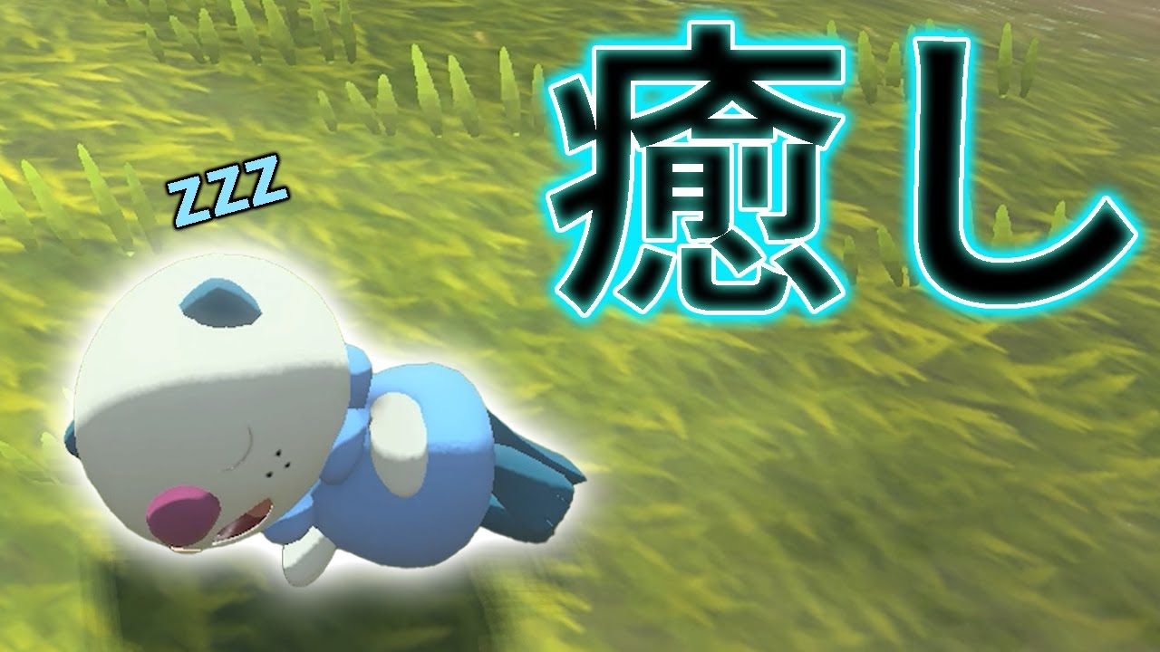 【癒し動画】色違いミジュマルのお昼寝と寝起き【Pokémon LEGENDS アルセウス】【ポケモンレジェンズアルセウス】