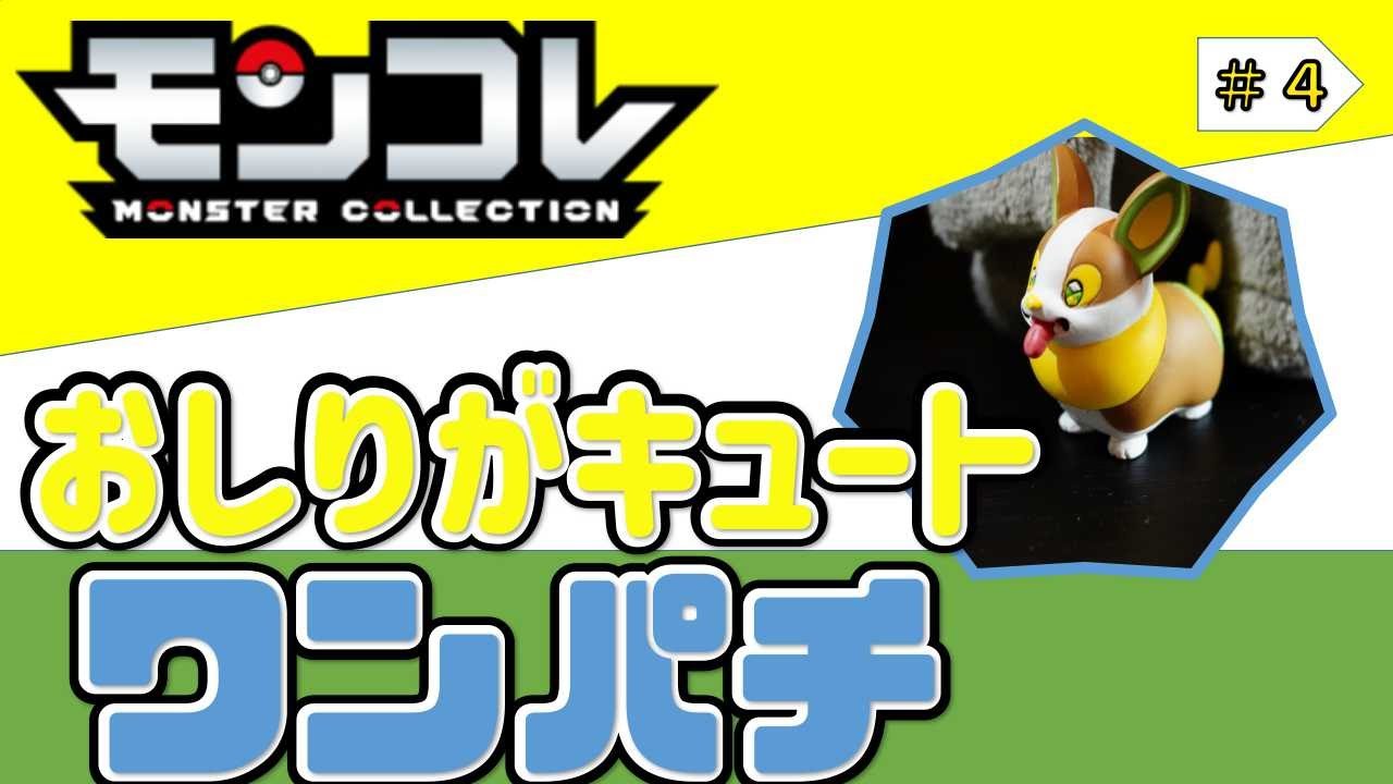 【ポケモン】60秒でモンコレ１ ワンパチ編 　#shorts