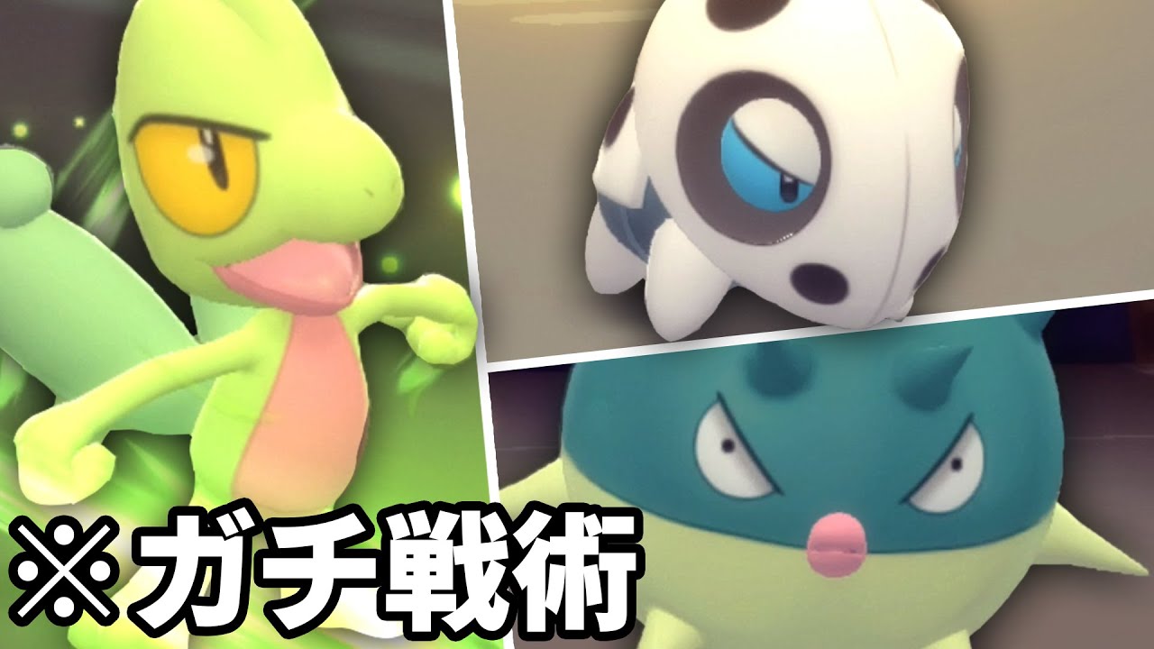 【ガチ構築】Lv.38キモリとLv.1ココドラやべぇぇぇぇぇぇぇぇぇぇ ハリーセンも【ポケモンBDSP】