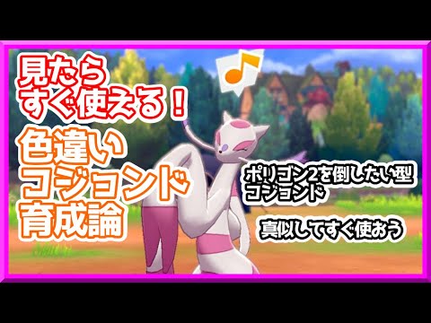 【ポケモン育成紹介】『色違い』コジョンド育成！見たらすぐ使える、ポリゴン2倒したい(願望)型コジョンド！【初心者向け/鎧の孤島/剣盾】