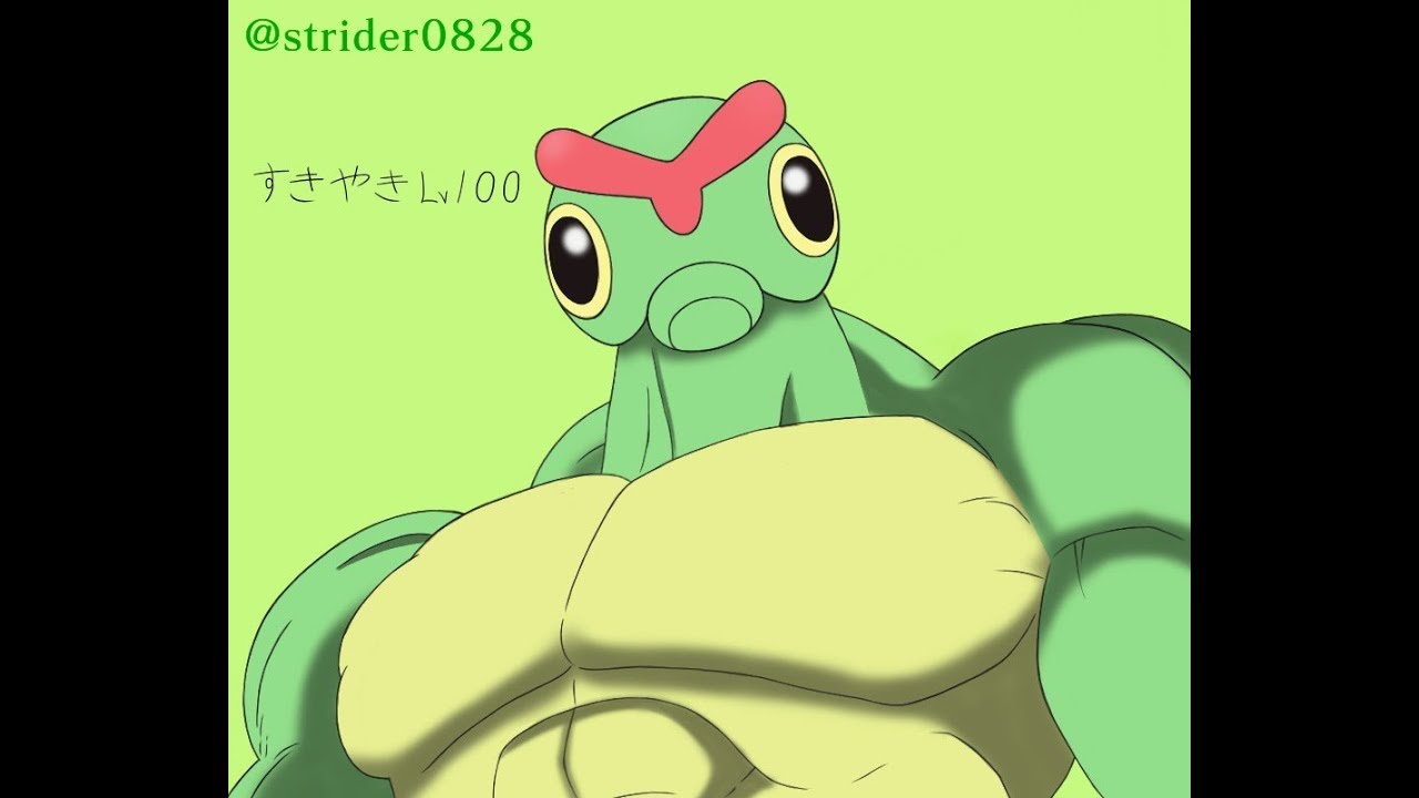 【超鬼畜ポケモン】アイテム購入禁止＠キャタピー１匹でカントーのチャンピオンになる！１３日目