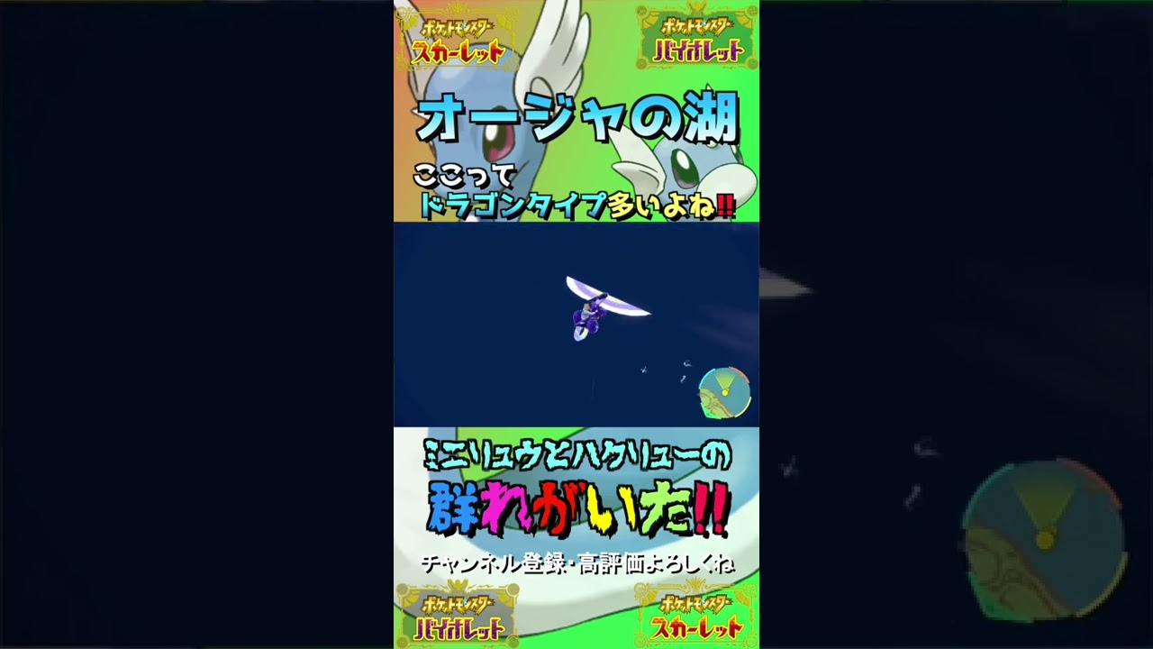 オージャの湖ドラゴンタイプが多いよね？？ミニリュウとハクリューの群れ！！【ポケモンSV 】