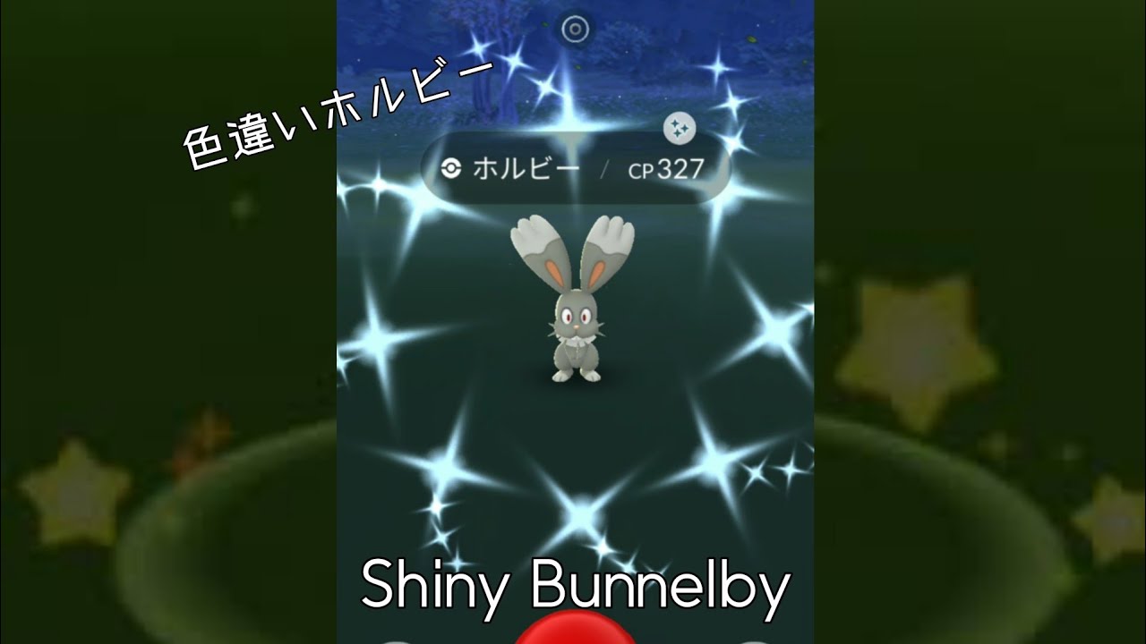 【SHINY Pokémon】SHINY BUNNELBY  !! Pokemon Go / 色違いホルビー 【色違いゲット】