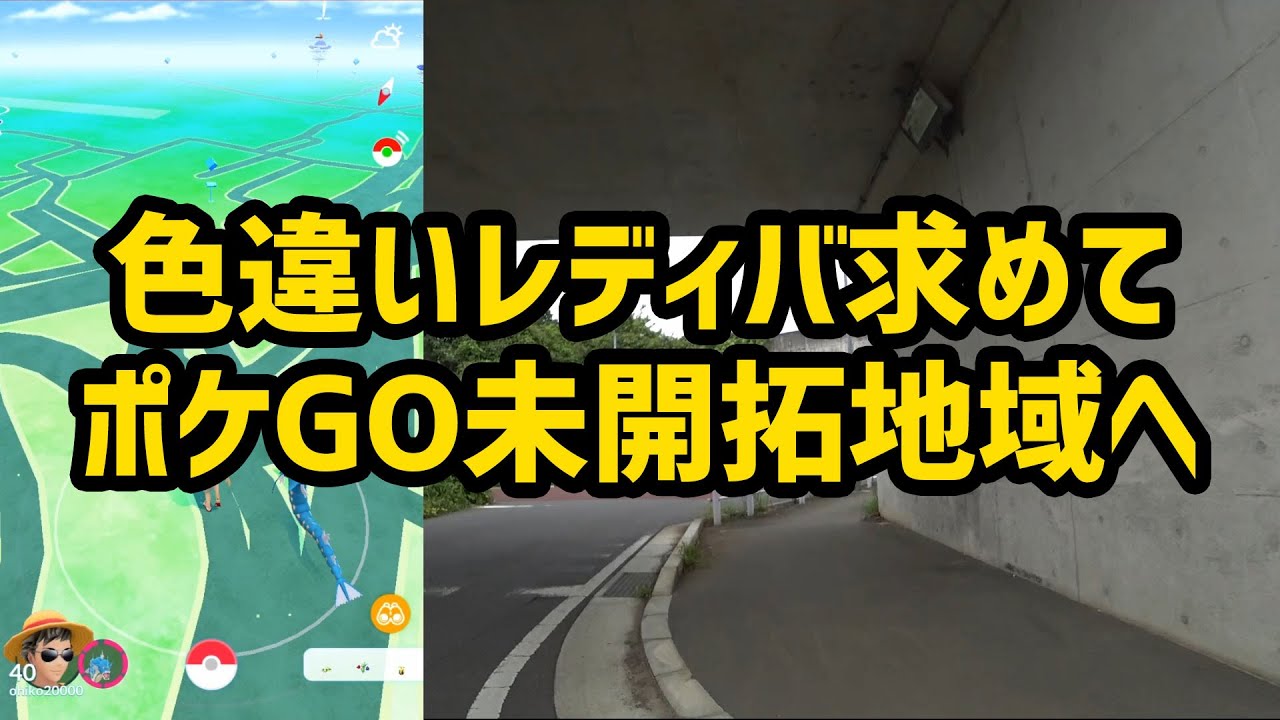 【ポケモンGO】レディバの色違い求めポケGO未開拓地域へ