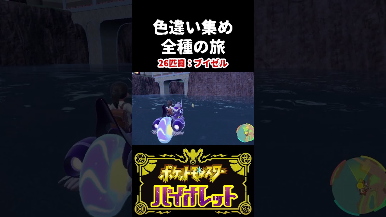 【色違い集めの旅】ブイゼル編【ポケモンSV】