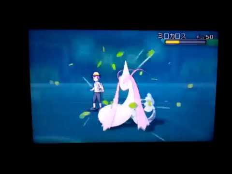 【ポケモンUSUM】物理型キレイハナ、鉄球を投げつける。