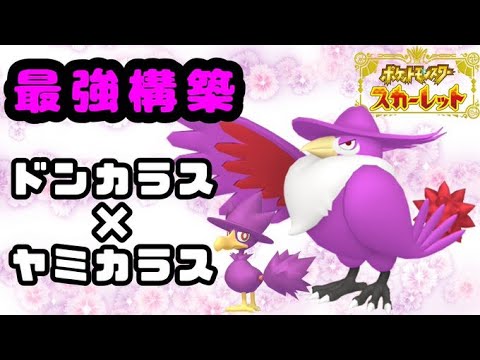 【ポケモンSV】ドンカラス×ヤミカラスさいかわ構築 シングル 1/5【switch版】