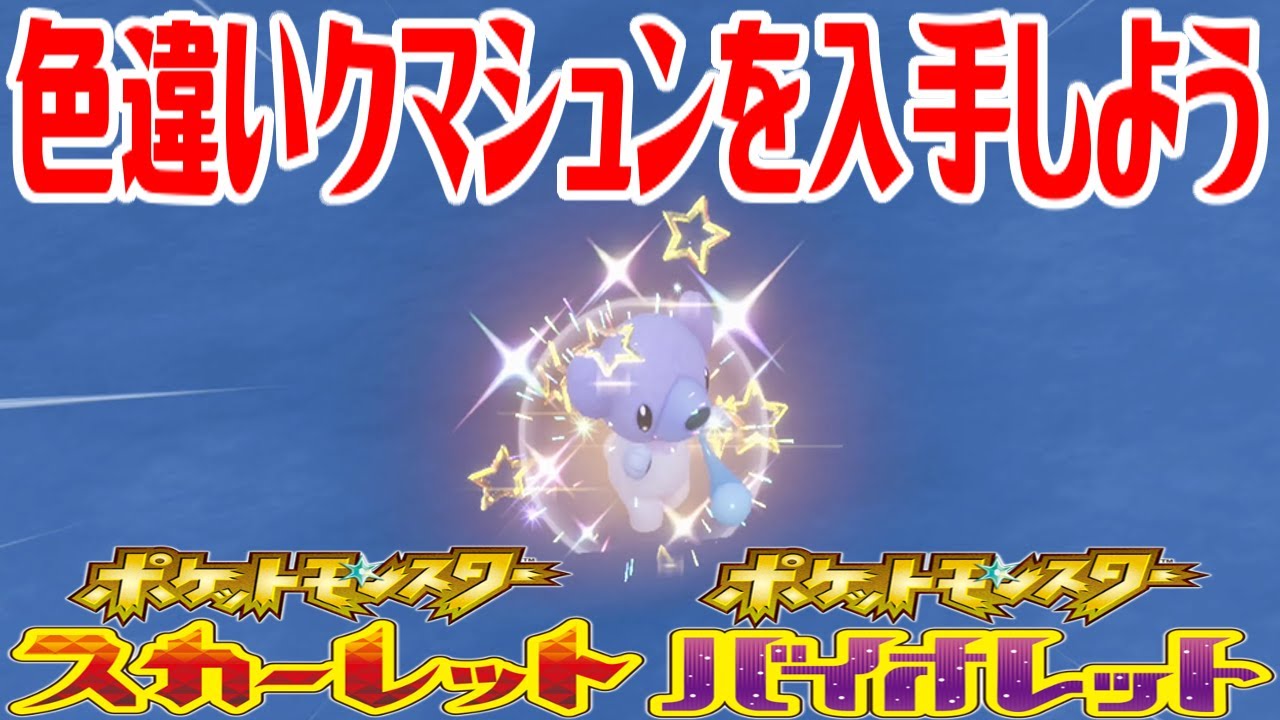 【ポケモンSV】色違いクマシュンを入手しよう【ポケットモンスター スカーレット・バイオレット】Pocket Monsters