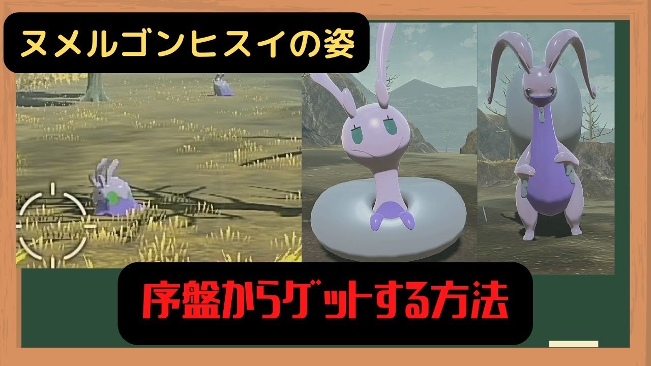 [ポケモンレジェンズアルセウス]ヌメラを序盤でゲット⁉進化先はまさかのヒスイの姿‼捕まえるしかない！