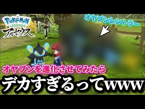 【ポケモン】捕まえたオヤブンルクシオを進化させたらデカすぎたwww【Pokemon LEGENDS アルセウス】