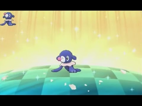 3DS【ポケモン サン ムーン】 色違い アシマリ shiny Popplio 色違 球球海獅