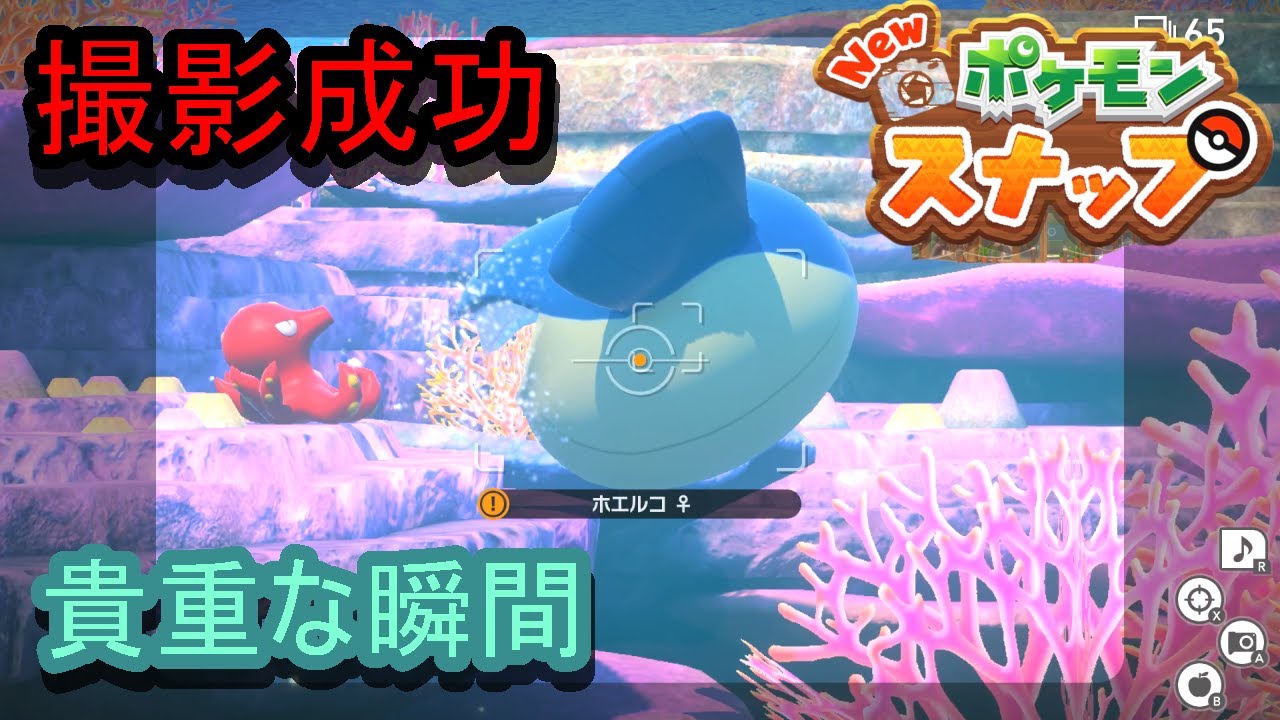 【Newポケモンスナップ】【ホエルコがオクタンを脅してる貴重な姿の撮影に成功しました＃2】【ポケモンスナップ】