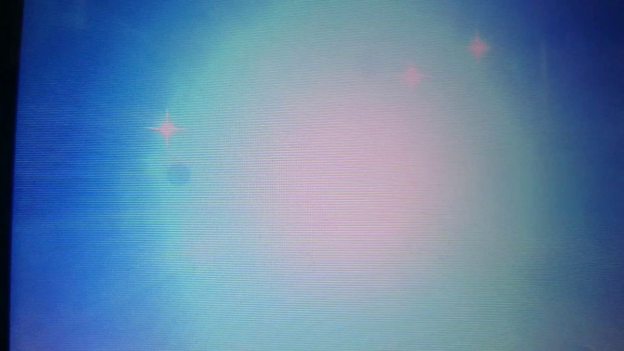 ヌイコグマ進化しました