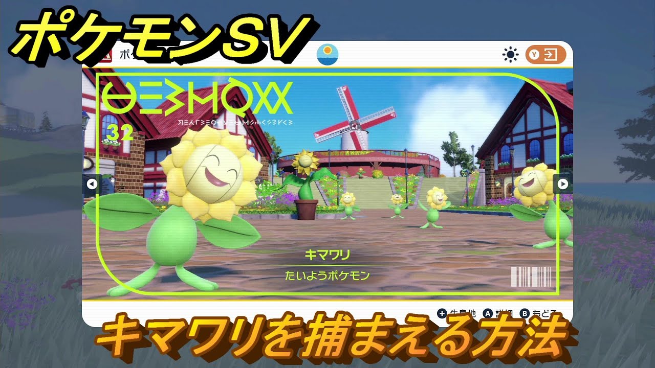 ポケモンＳＶ　キマワリを捕まえる方法！出現場所は？図鑑No.３２　ポケモン図鑑を埋めよう！　【スカーレット・バイオレット】