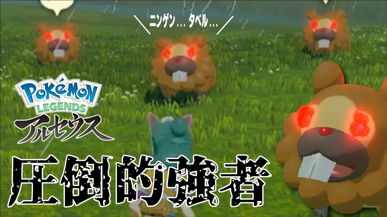 最狂すぎるオヤブンビッパの群れに挑んでみた結果...【レジェンズアルセウス】