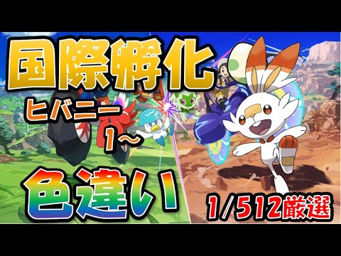 【ポケモンSV】国際孵化色違い厳選　ヒバニー　１～　１日目