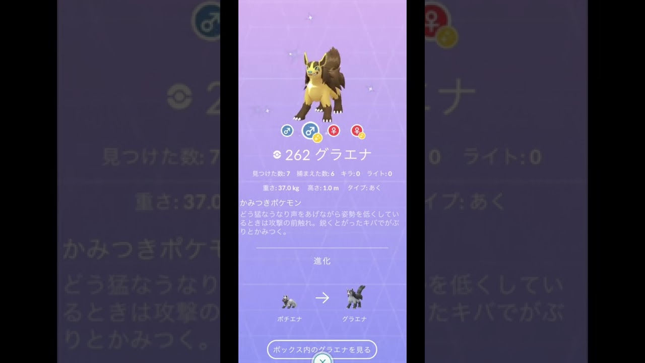 ポチエナ色違いからの〜&ロゼリア色違いからの〜【色違いポケモン】ダイパリメイク