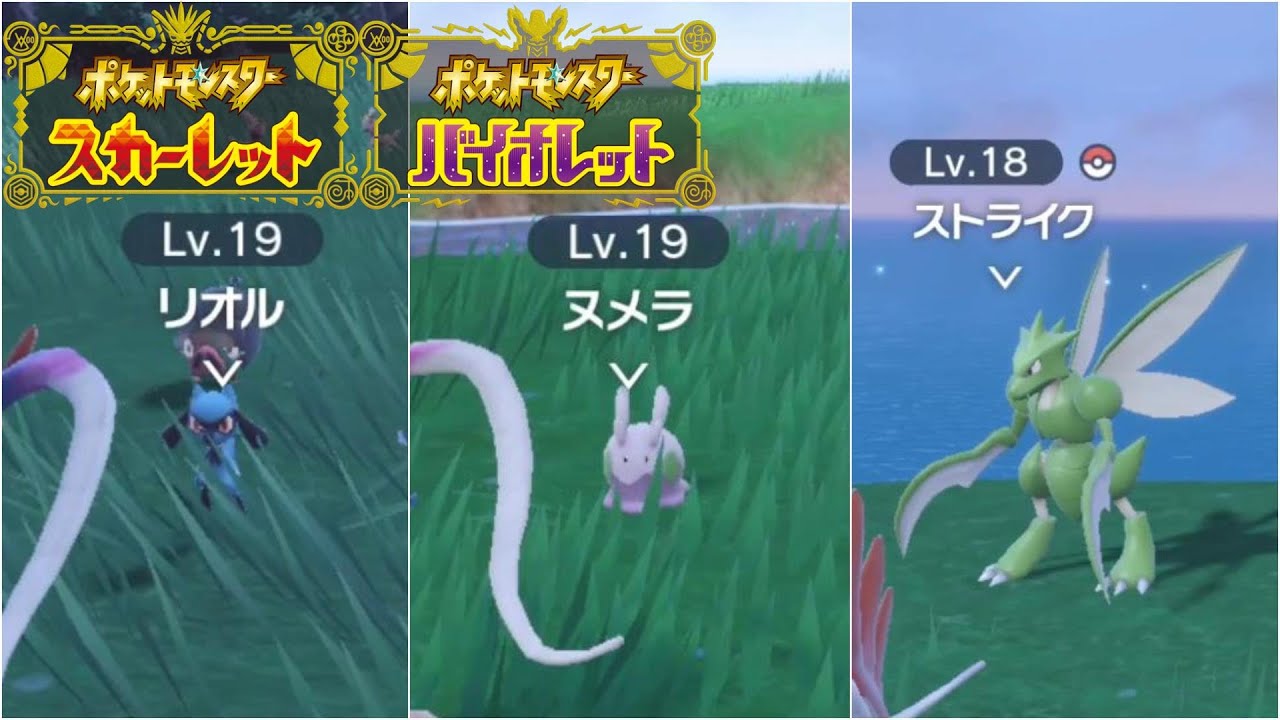 リオル、ヌメラ、ストライクがいる場所　【 ポケモンスカーレットバイオレット 】