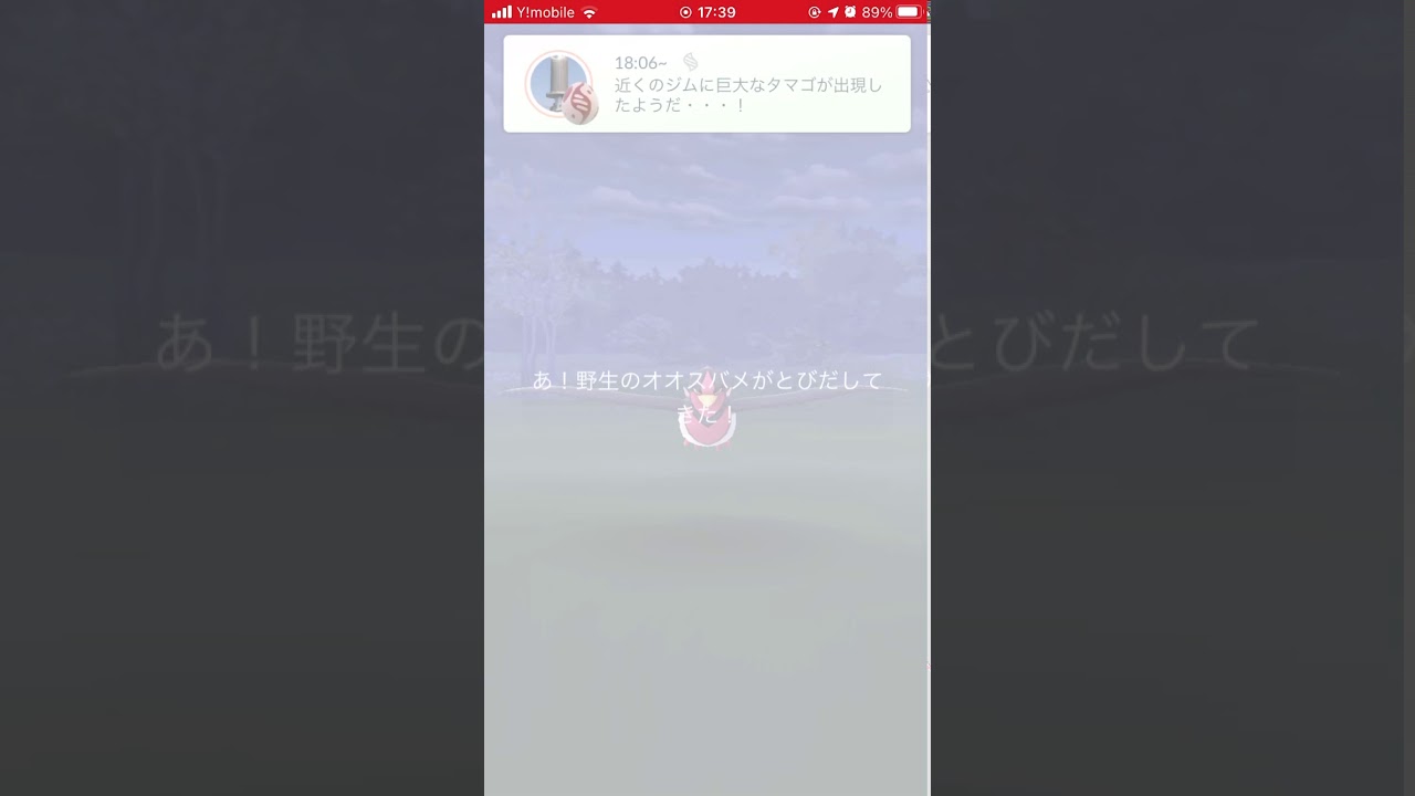 【ポケモンGO】オオスバメとアチャモを初ゲット