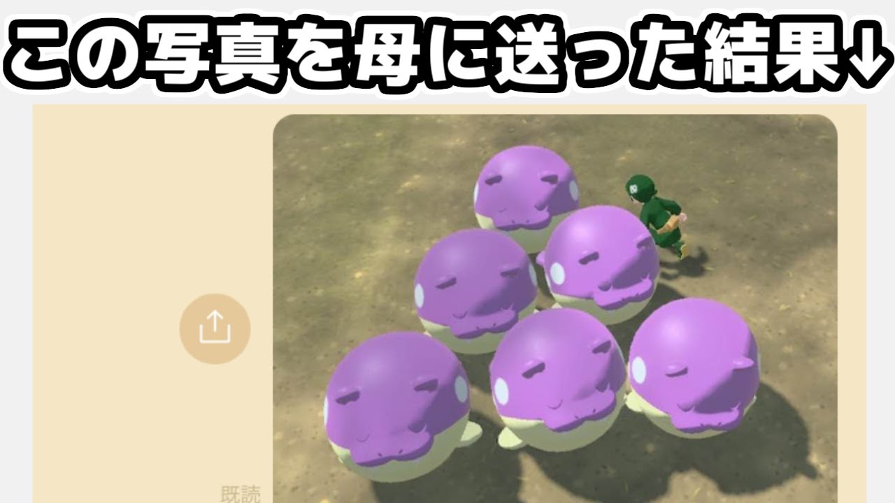 母親に色違いオヤブンタマザラシの写真を送り付けてみた結果2(??)