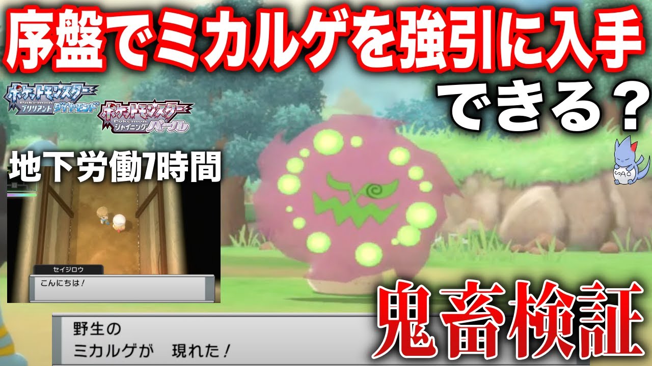 【改悪？】ミカルゲを序盤から旅パで使う方法が鬼畜すぎるので検証！地下大洞窟で32人のNPCを強引に出す。【ミカルゲ入手方法】【ポケモンBDSP/レジェンズ】