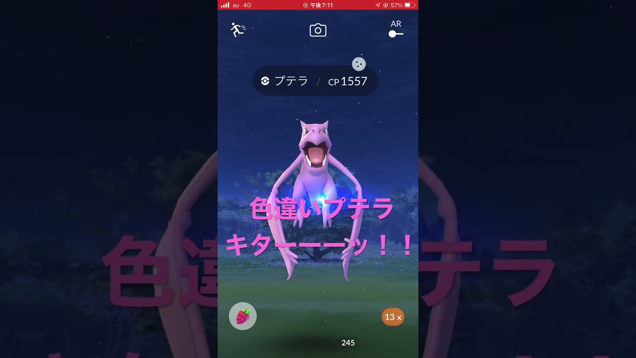 メガプテラ初戦でいきなり！？