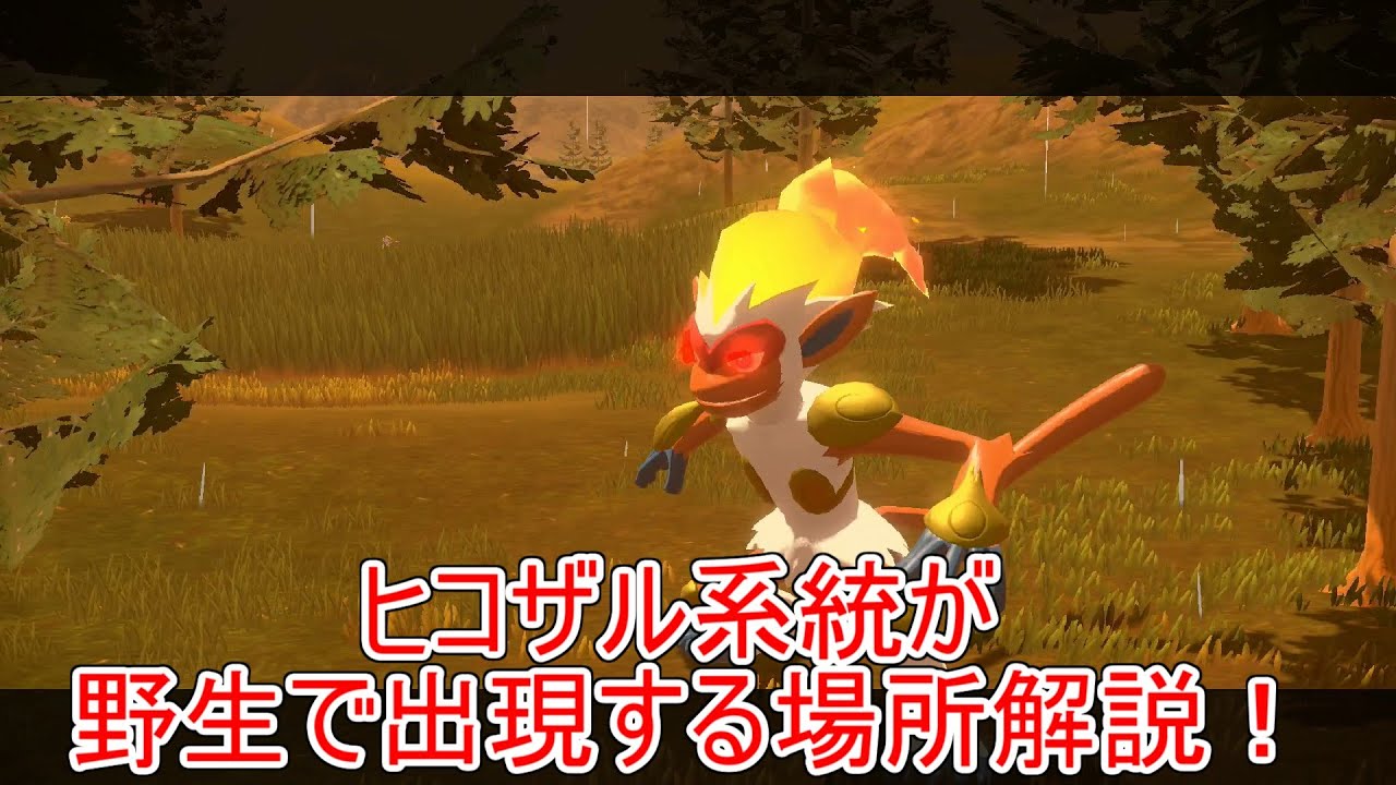 【レジェンズアルセウス】ヒコザル・モウカザル・ゴウカザルの入手方法・出現場所解説！図鑑タスクもここがオススメ！【アルセウス】【Pokémon LEGENDS アルセウス】【攻略】【ポケモンアルセウス】