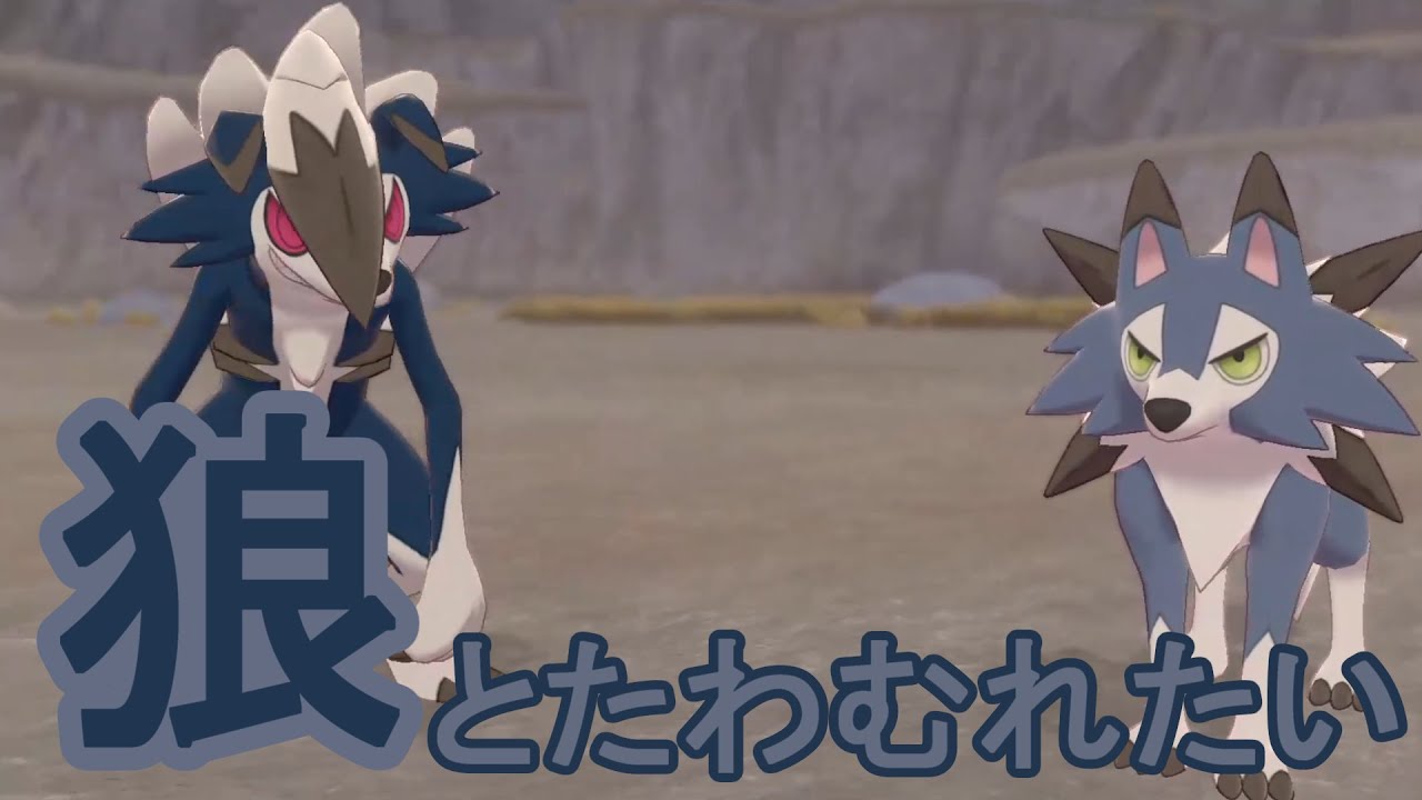 【ポケモン剣盾】色違いのイワンコGETシーン切り抜き