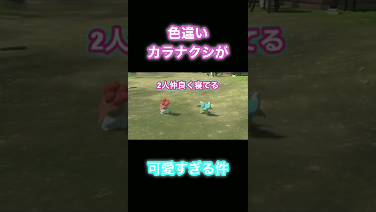 【ポケモンアルセウス】色違いカラナクシが可愛すぎる件【ぐでたそ】